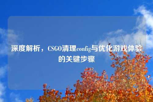 深度解析，CSGO清理config与优化游戏体验的关键步骤