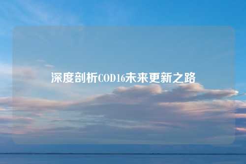 深度剖析COD16未来更新之路