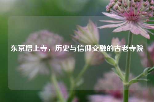 东京增上寺，历史与信仰交融的古老寺院