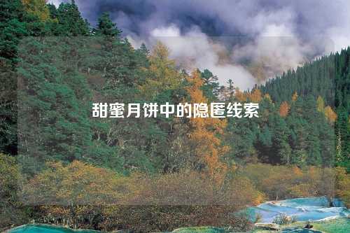 甜蜜月饼中的隐匿线索