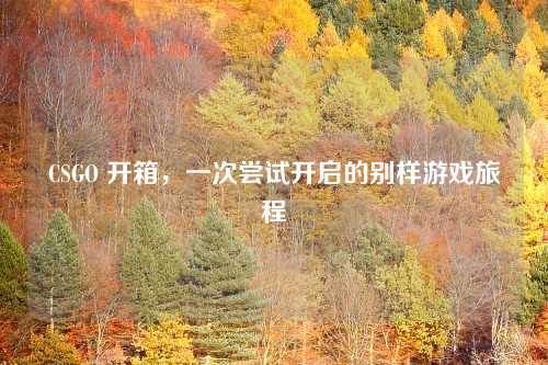 CSGO 开箱，一次尝试开启的别样游戏旅程