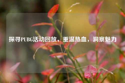 探寻PUBG活动回放，重温热血，洞察魅力