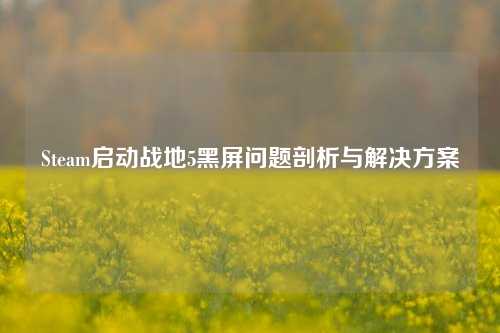 Steam启动战地5黑屏问题剖析与解决方案
