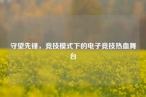 守望先锋，竞技模式下的电子竞技热血舞台