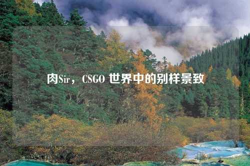 肉Sir，CSGO 世界中的别样景致