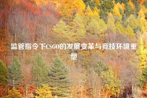 监管指令下CSGO的发展变革与竞技环境重塑