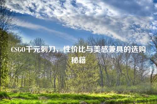 CSGO千元刺刀，性价比与美感兼具的选购秘籍