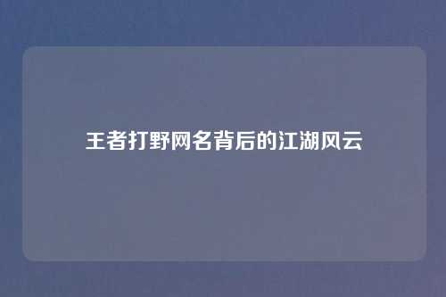 王者打野网名背后的江湖风云