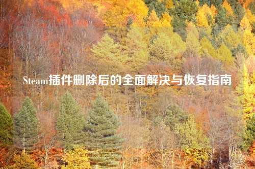 Steam插件删除后的全面解决与恢复指南