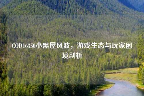 COD16350小黑屋风波，游戏生态与玩家困境剖析