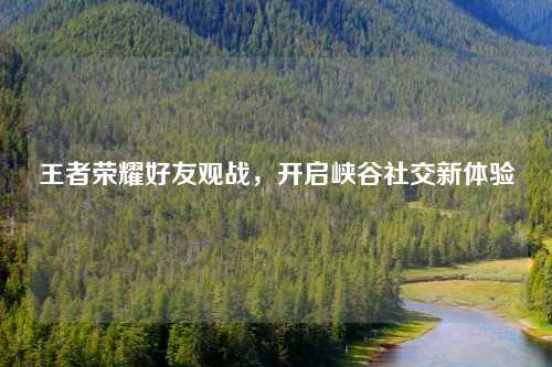 王者荣耀好友观战，开启峡谷社交新体验