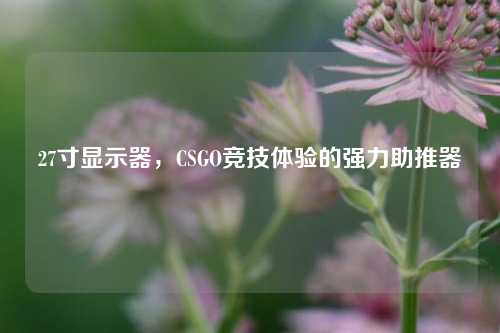 27寸显示器，CSGO竞技体验的强力助推器