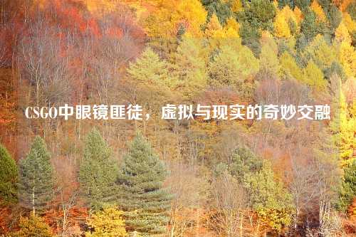 CSGO中眼镜匪徒，虚拟与现实的奇妙交融