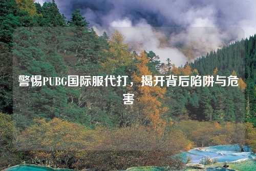 警惕PUBG国际服代打，揭开背后陷阱与危害