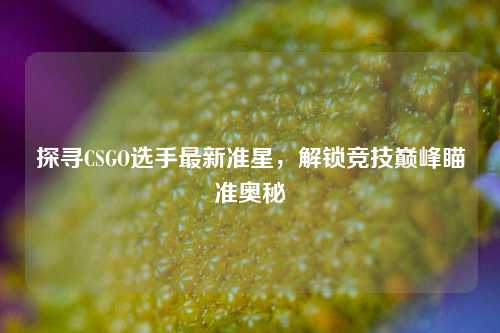 探寻CSGO选手最新准星，解锁竞技巅峰瞄准奥秘