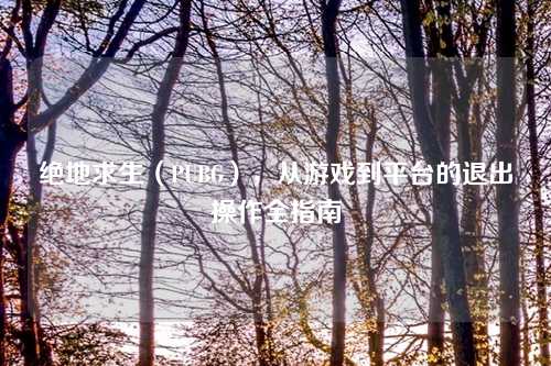 绝地求生（PUBG），从游戏到平台的退出操作全指南