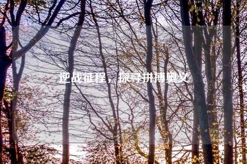 逆战征程，探寻拼搏奥义