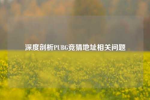 深度剖析PUBG竞猜地址相关问题