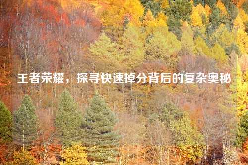 王者荣耀，探寻快速掉分背后的复杂奥秘