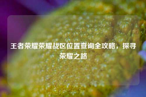 王者荣耀荣耀战区位置查询全攻略，探寻荣耀之路