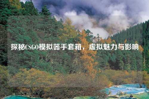 探秘CSGO模拟器手套箱，虚拟魅力与影响