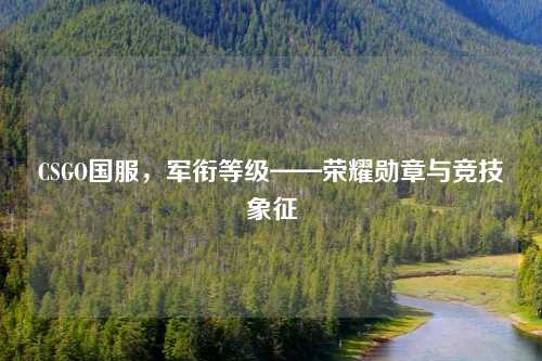 CSGO国服，军衔等级——荣耀勋章与竞技象征