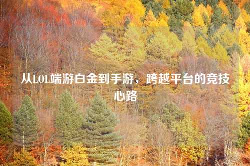 从LOL端游白金到手游，跨越平台的竞技心路