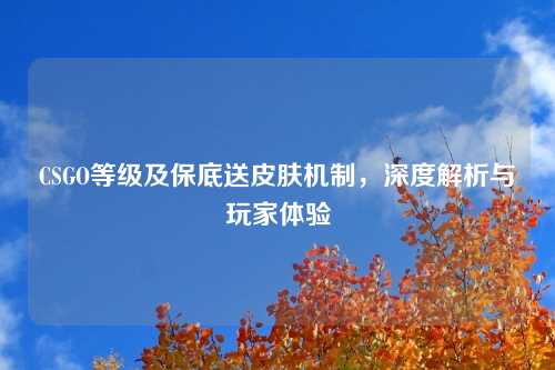 CSGO等级及保底送皮肤机制，深度解析与玩家体验