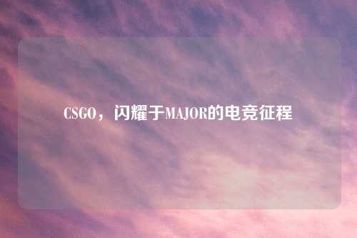 CSGO，闪耀于MAJOR的电竞征程