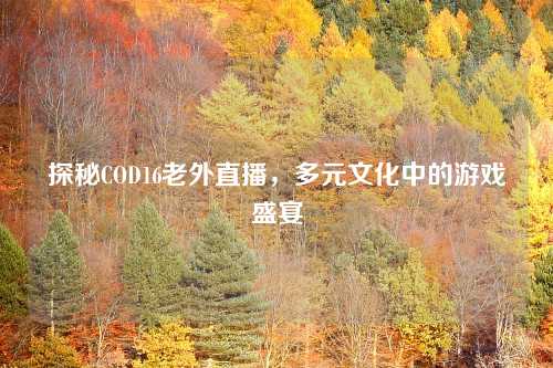 探秘COD16老外直播，多元文化中的游戏盛宴