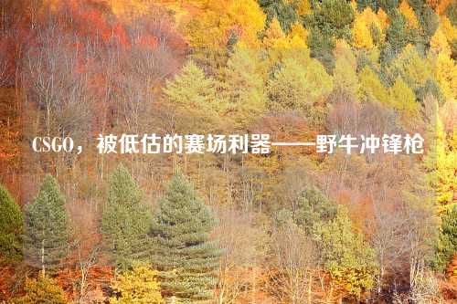 CSGO，被低估的赛场利器——野牛冲锋枪