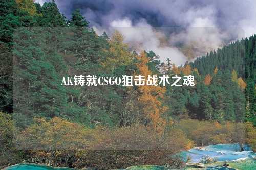 AK铸就CSGO狙击战术之魂