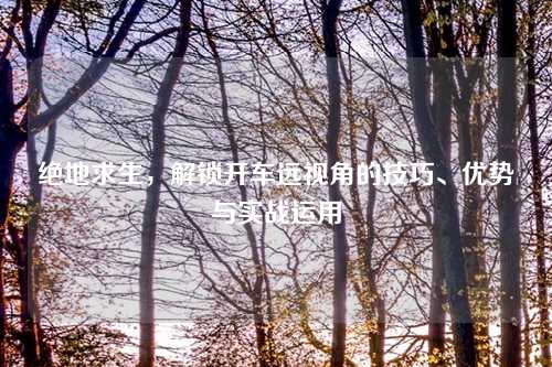 绝地求生，解锁开车远视角的技巧、优势与实战运用