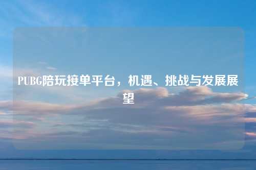 PUBG陪玩接单平台，机遇、挑战与发展展望