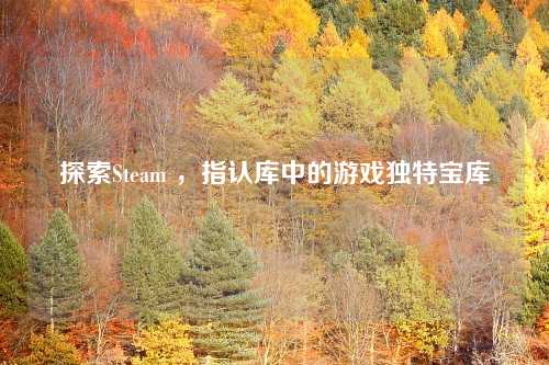 探索Steam ，指认库中的游戏独特宝库