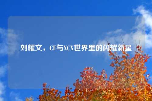 刘耀文，CF与XCX世界里的闪耀新星