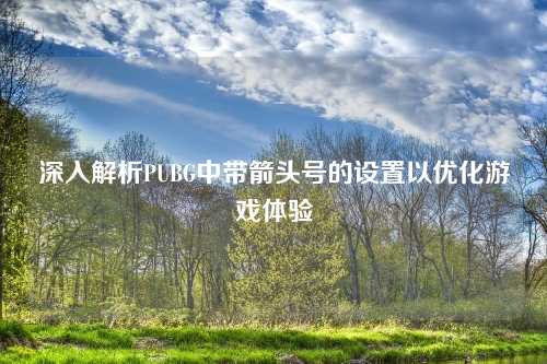 深入解析PUBG中带箭头号的设置以优化游戏体验