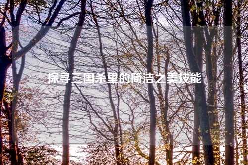 探寻三国杀里的简洁之美技能