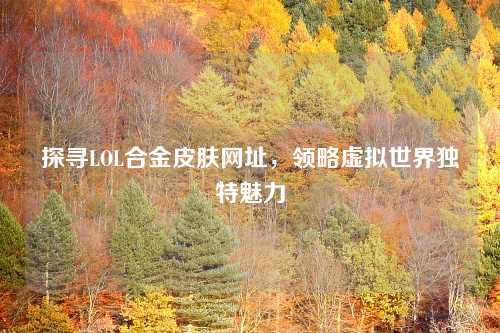探寻LOL合金皮肤网址，领略虚拟世界独特魅力