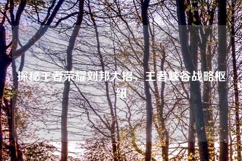 探秘王者荣耀刘邦大招，王者峡谷战略枢纽