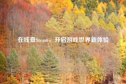 在线查Steam，开启游戏世界新体验
