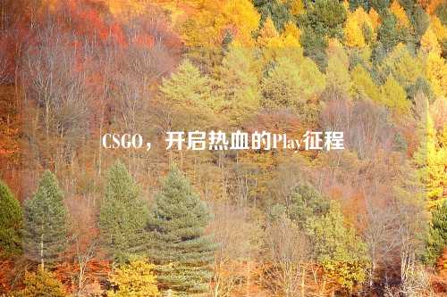 CSGO，开启热血的Play征程