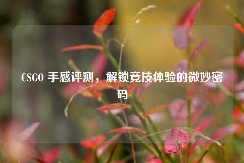 CSGO 手感评测，解锁竞技体验的微妙密码