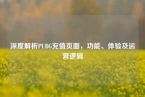 深度解析PUBG充值页面，功能、体验及运营逻辑