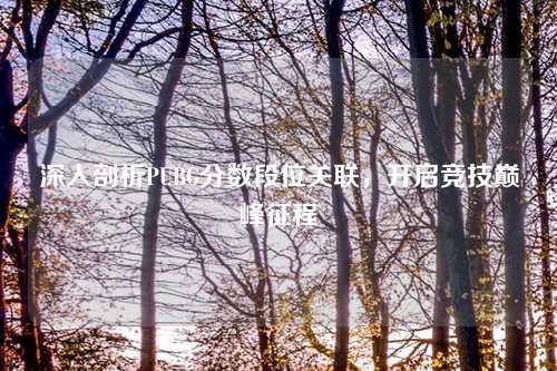深入剖析PUBG分数段位关联，开启竞技巅峰征程