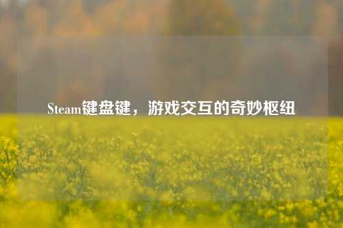 Steam键盘键，游戏交互的奇妙枢纽