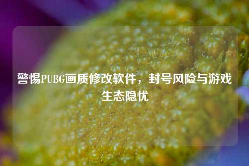 警惕PUBG画质修改软件，封号风险与游戏生态隐忧