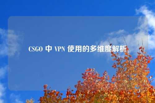 CSGO 中 VPN 使用的多维度解析