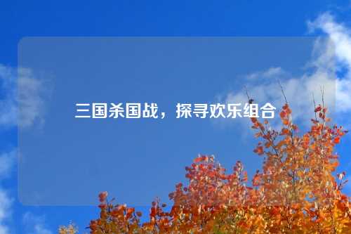 三国杀国战，探寻欢乐组合
