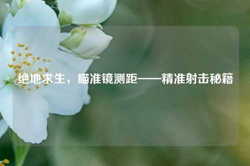 绝地求生，瞄准镜测距——精准射击秘籍